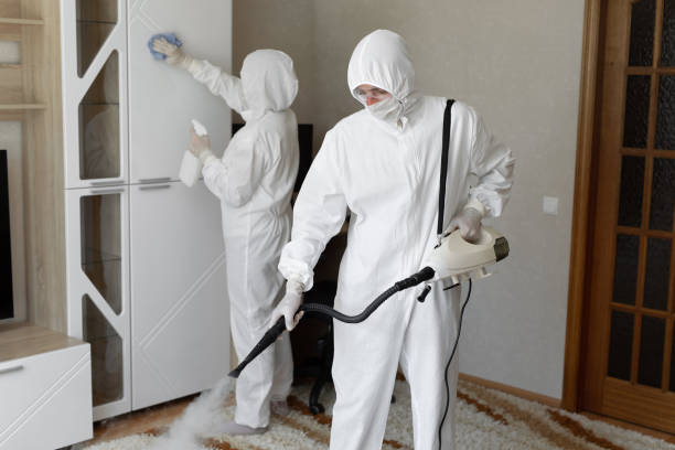Best Certified Mold Removal  in Wright Patterson Af, OH